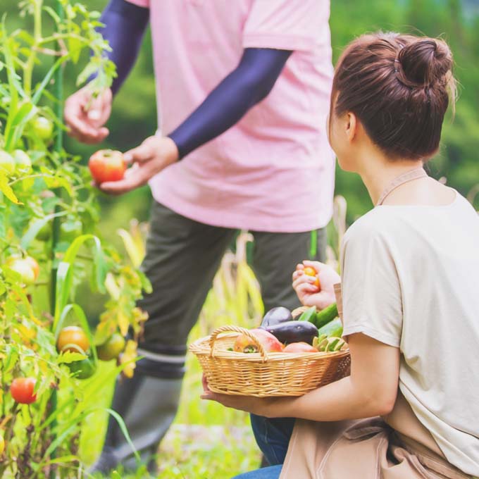 社会貢献へつながる就労支援